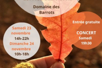 Village d'automne de Montlaur (31)