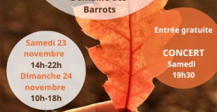 Village d'automne de Montlaur (31)