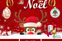 4ème Marché de Noël La Quincéenne