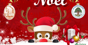 4ème Marché de Noël La Quincéenne