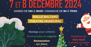 Marché de Noël à Forges les Eaux