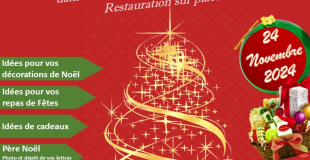 MARCHÉ  DE NOËL 2024 DE GRISY-LES-PLÂTRES 95