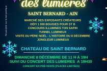 MARCHE DE NOEL DES LUMIERES