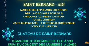 MARCHE DE NOEL DES LUMIERES