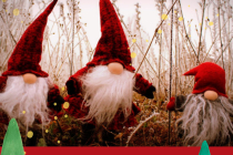 Marché du Solstice 2024 de Concoret (56)