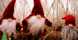 Marché du Solstice 2024 de Concoret (56)