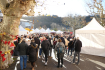 30e Marche de Noël