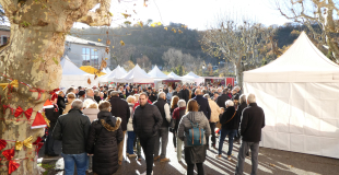 30e Marche de Noël