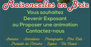 MARCHÉ DE NOEL NOCTURNE