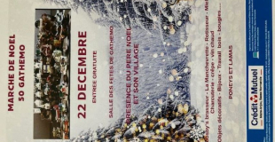 Marché de Noël à Gathemo (50)