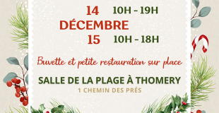 Marché de Noël 2024