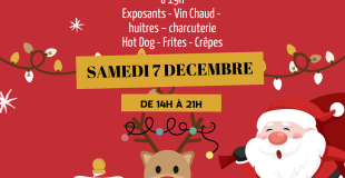 Marché de Noël 2024 de Viriville (38)