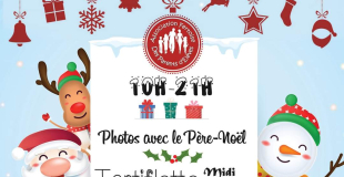 Marche de Noël La Ferté saint cyr (41)