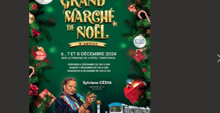 GRAND MARCHÉ DE NOEL CTG