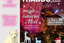 La Magie des Lumières de Noël sous Terre
