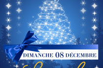 Marché de Noël de LIGUEIL (37)