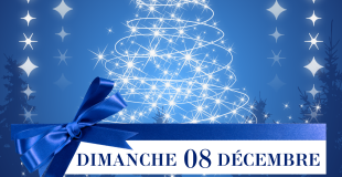 Marché de Noël de LIGUEIL (37)