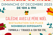 MARCHE DE NOEL 2025 DAUMERAY 49640