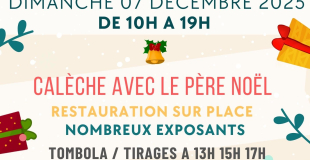 MARCHE DE NOEL 2025 DAUMERAY 49640
