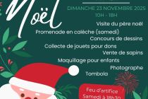 marché de Noël à Naveil 41