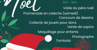 marché de Noël à Naveil 41