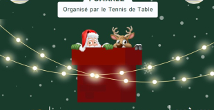 Marché de Noël POMAREZ
