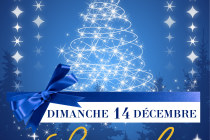 Marché de Noël de LIGUEIL (37) - 5°édition