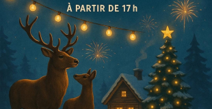 1er Village de Noël - Flagnac