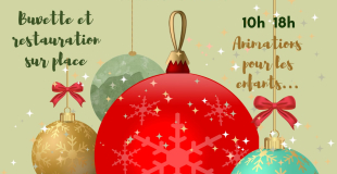 MARCHE DE NOEL DE PUJOLS 33350