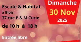 Marché de Noël des Associations