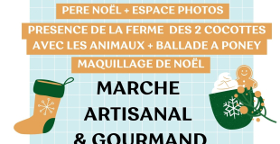 MARCHE DE NOEL ARTISANAL ET GOURMAND MANZIAT-AIN 2025