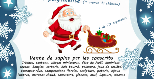 Marché de Noël à Ampuis le 07-12-25 (69)