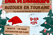 MARCHE DE NOEL AUZOUER EN TOURAINE 37110