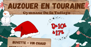 MARCHE DE NOEL AUZOUER EN TOURAINE 37110