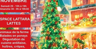 Marché de Noel de Lattes Loisirs et Culture