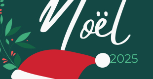 Marché de Noël 2025 de l'APE d'Availles en Châtellerault (86)