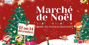 Marché de Noël de Tigery
