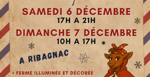 marché de noel à la ferme