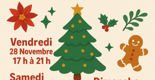 MARCHE DE NOEL A MEURSAULT