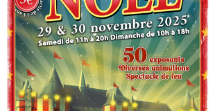 Marché de Noël au Château du Plessis-Bourré