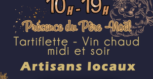 Marché de Noël - La Ferté Saint Cyr (41)