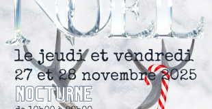 MARCHÉ DE NOËL ARTISTES ARTISANS CRÉATEURS 