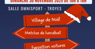 Marché de Noël 2025 de TROYES (10)