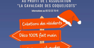 Marché de Noël des Coquelicots