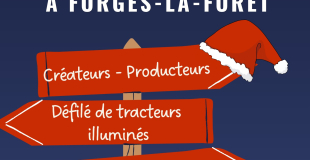 Marché de Noël - RPI CHELUN EANCE FORGES LA FORET   