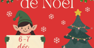 Marché de Noël de viuz en Sallaz 