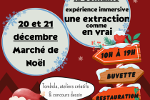 Noël à la ferme chez Entre Terre Et Miel (Marnay - 86)