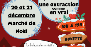 Noël à la ferme chez Entre Terre Et Miel (Marnay - 86)