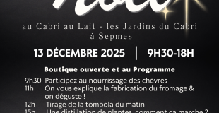  Sepmes - Portes ouvertes de Noël au milieu des chèvres et plantes 