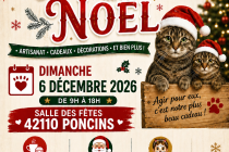 Marché de Noël solidaire : Un Noël doux pour nos animaux  !